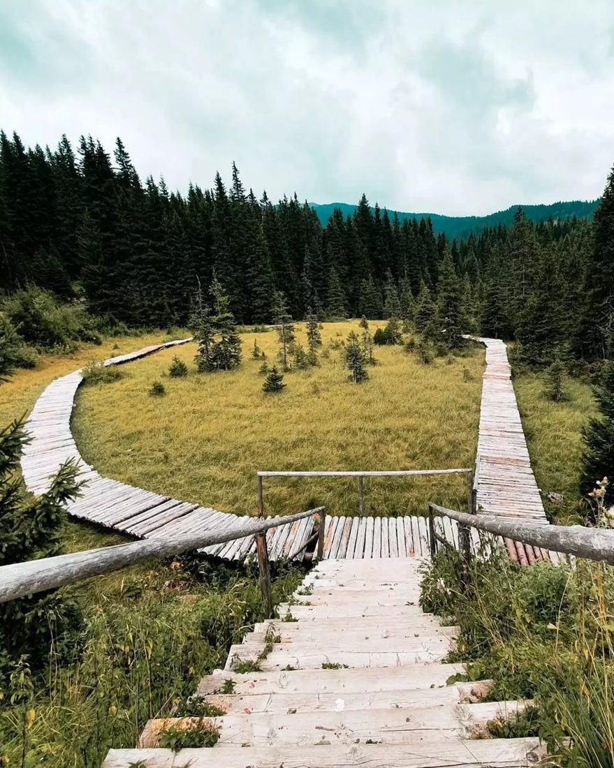 Das Lăptici-Hochmoor